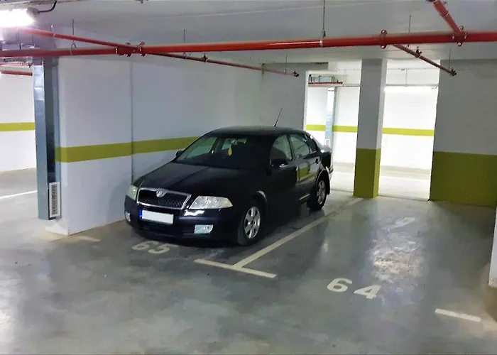 Reset نوفي ساد