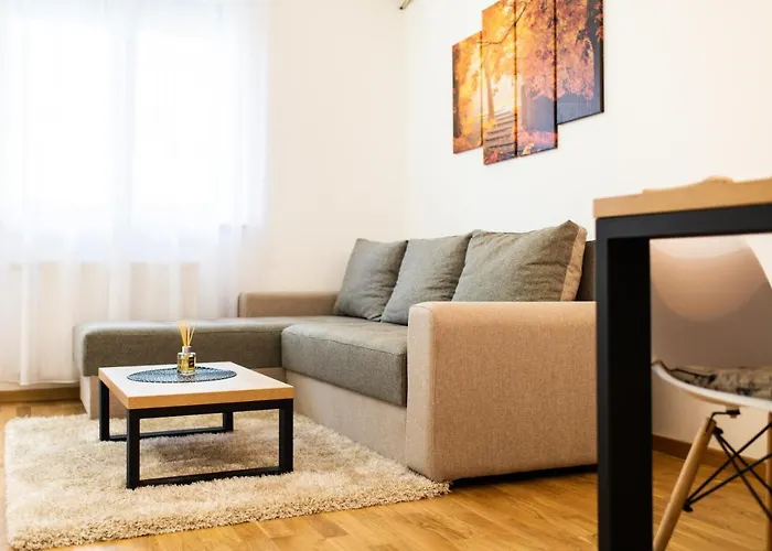 شقة Reset نوفي ساد